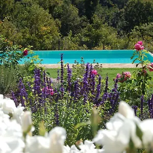 Podere Il Colto Couette-café Gaiole in Chianti